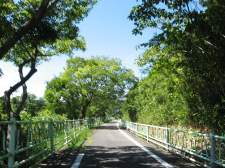 画像24